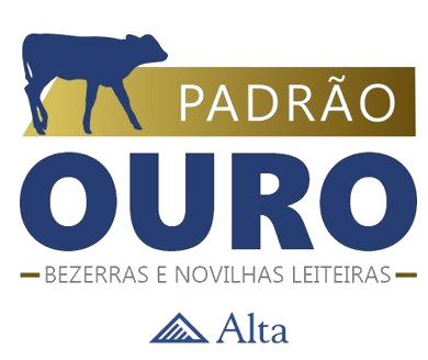 Padrão Ouro com assinatura Alta